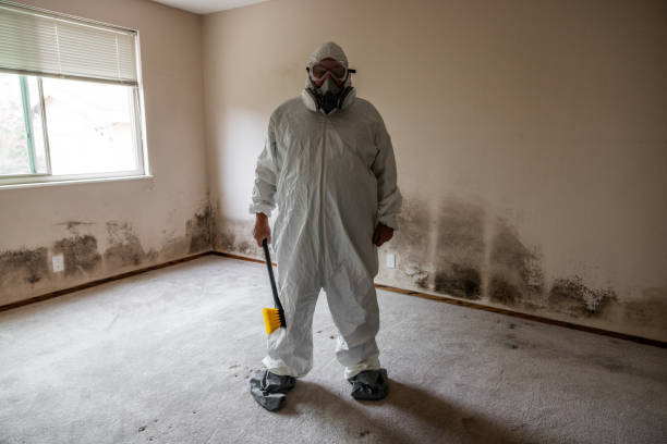 Best Mold Removal Near Me  in Robersonville, NC